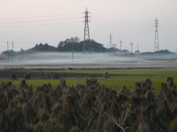 夕焼けと野焼き DSCN2050