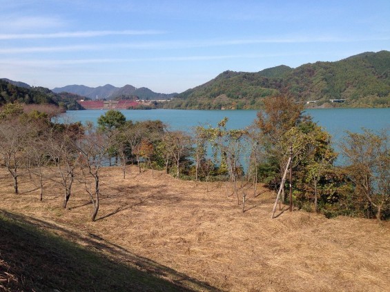 宮ヶ瀬湖 2013-11-14 12 50 46