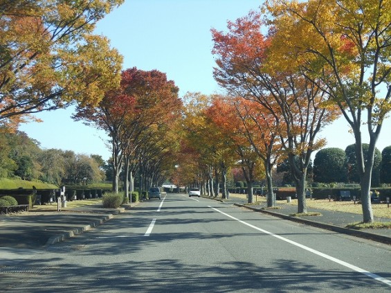 郊外型の霊園 さいたま市　思い出の里市営霊園15