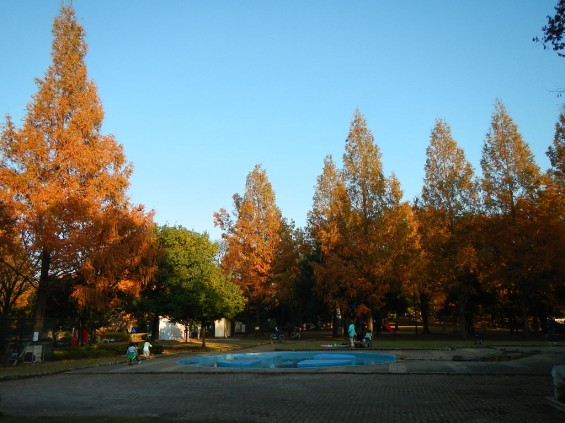 伊奈町町制施行記念公園 DSCN1988