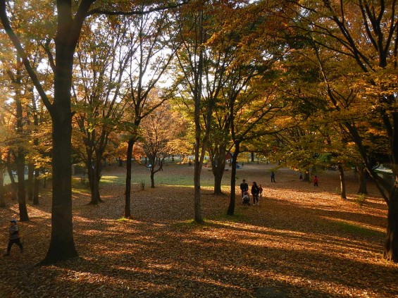 伊奈町町制施行記念公園 DSCN2004