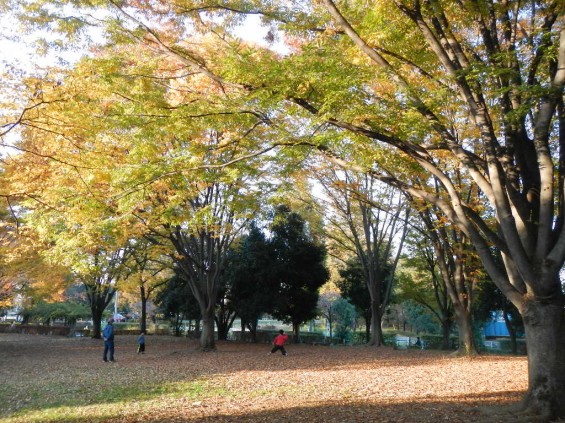 伊奈町町制施行記念公園 DSCN2006