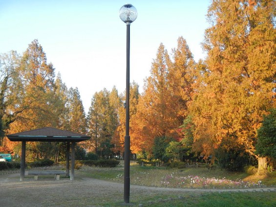 伊奈町町制施行記念公園 DSCN2008