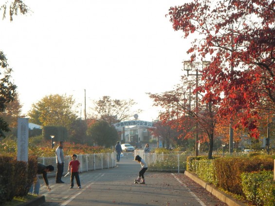 伊奈町町制施行記念公園 DSCN2020