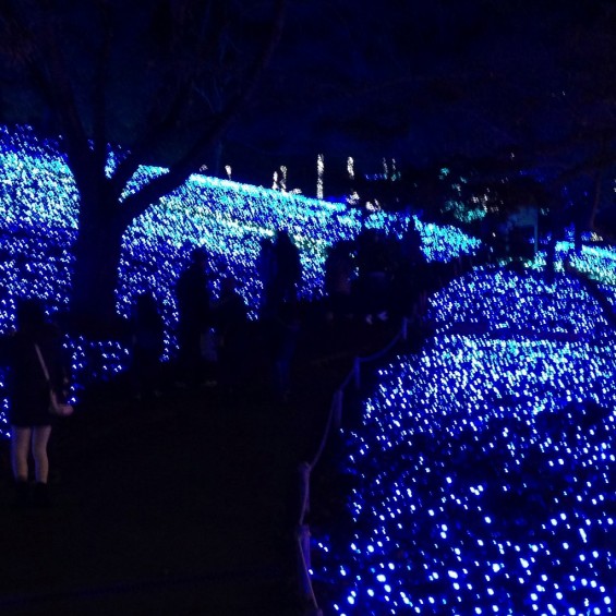 相模湖イルミネーション 2013-11-14 17 31 20