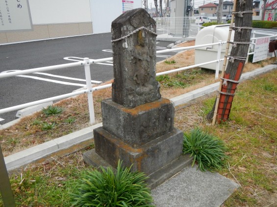 上尾市 川の大しめ DSCN2548