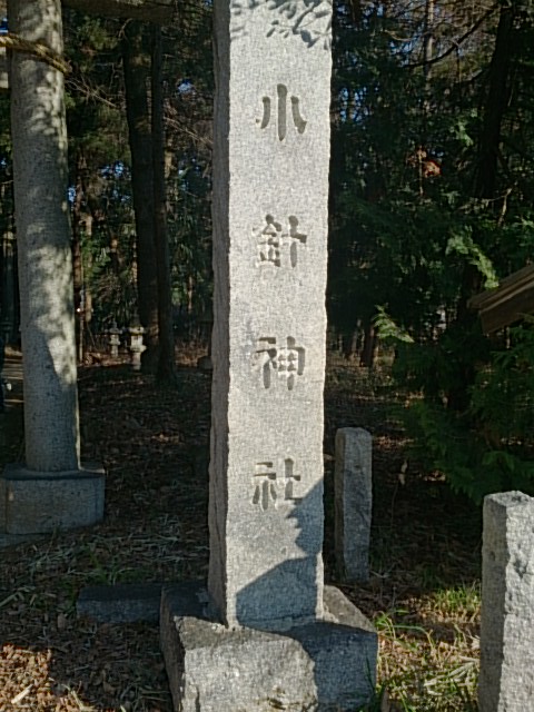 小針神社 初詣 DSC_1567