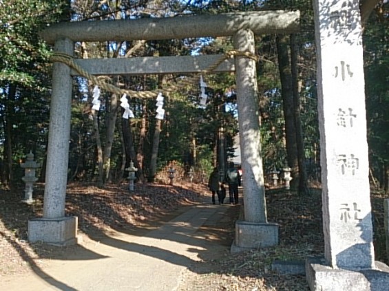 小針神社 初詣 鳥居 DSC_1568