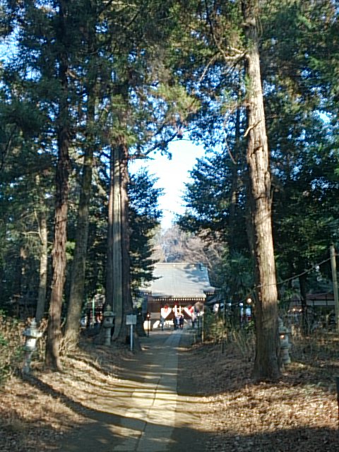 小針神社 初詣 DSC_1570