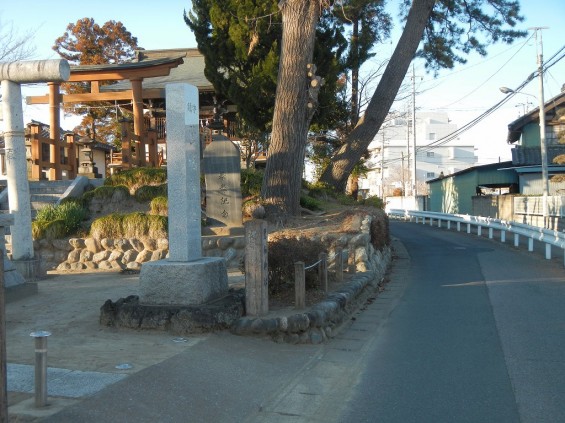 忍城水攻 石田堤 行田市 鷺栖神社 DSCN2869