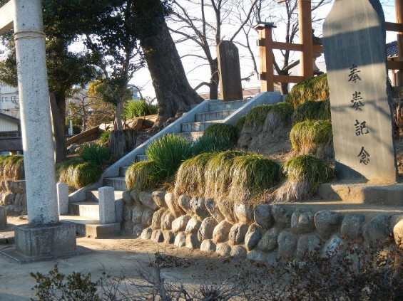 忍城水攻 石田堤 行田市 鷺栖神社 DSCN2870