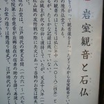 埼玉県吉見町　岩殿観音に行ってきました DSCN3143