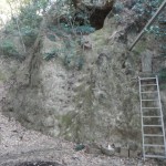 埼玉県吉見町　岩殿観音に行ってきました DSCN3165