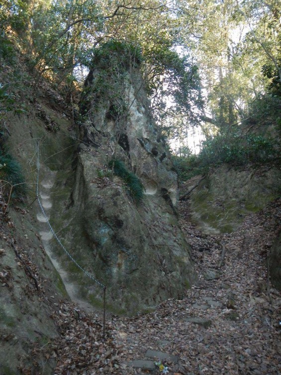 埼玉県吉見町　岩殿観音に行ってきました DSCN3166