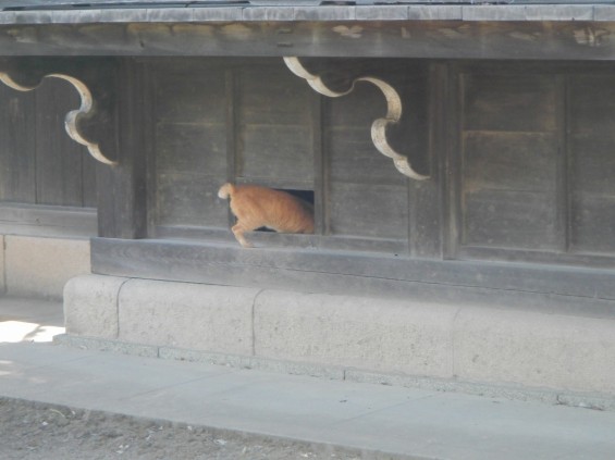 さいたま市西区の秋葉神社に行ってきました DSCN3332