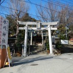 日光御成道　川口市鳩ヶ谷　鳩ヶ谷氷川神社 DSCN3573