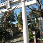 日光御成道　川口市鳩ヶ谷　鳩ヶ谷氷川神社 DSCN3574