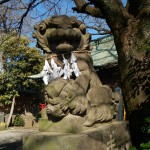 日光御成道　川口市鳩ヶ谷　鳩ヶ谷氷川神社 DSCN3576