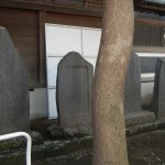 日光御成道　川口市鳩ヶ谷　鳩ヶ谷氷川神社 DSCN3592