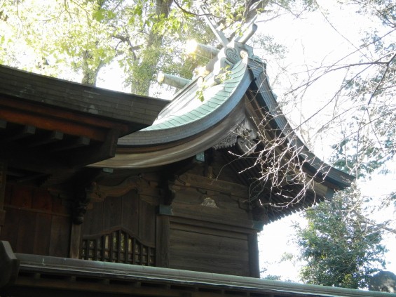 日光御成道　川口市鳩ヶ谷　鳩ヶ谷氷川神社 DSCN3595