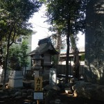 日光御成道　川口市鳩ヶ谷　鳩ヶ谷氷川神社 DSCN3599