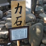 日光御成道　川口市鳩ヶ谷　鳩ヶ谷氷川神社 DSCN3601