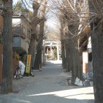 日光御成道　川口市鳩ヶ谷　鳩ヶ谷氷川神社 DSCN3610