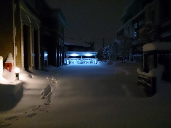 20140215　大雪　朝四時の埼玉県の積雪 DSC_1644