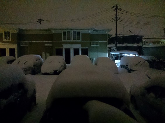 20140215　大雪　朝四時の埼玉県の積雪 DSC_1648