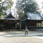 武蔵一宮　氷川神社 DSCN3686