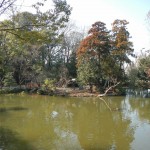 武蔵一宮　氷川神社 DSCN3683