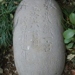 武蔵一宮　氷川神社 DSCN3689