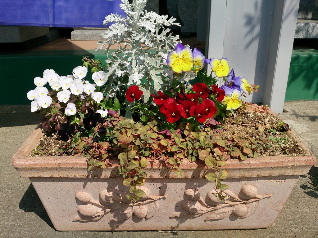 石屋の花壇 春の花 新芽 霊園とお墓のはなし