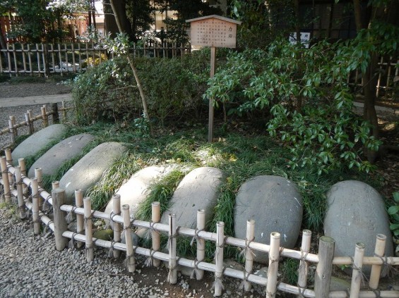 武蔵一宮　氷川神社 DSCN3688