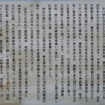 武蔵一宮　氷川神社 DSCN3647