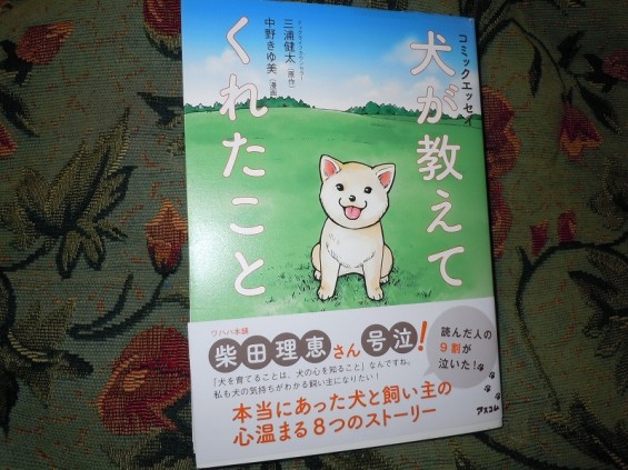 最近読んで面白かった本ベスト5 犬が教えてくれたこと 三浦健太 中野きゆ美