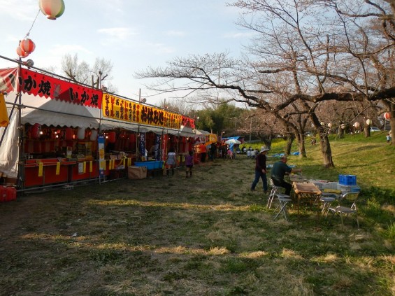 20140329　桜の様子　北本市 桜堤 DSCN4062