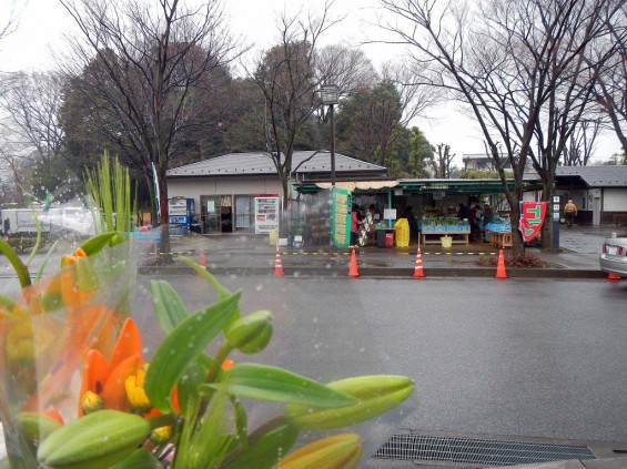 20140320 お彼岸のお墓参りは雨 さいたま市営霊園思い出の里 DSCN3908