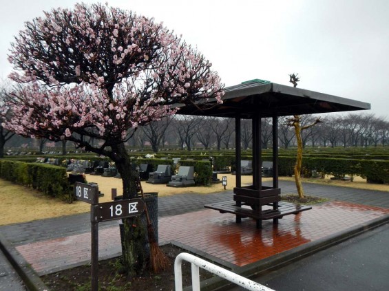 20140320 お彼岸のお墓参りは雨 さいたま市営霊園思い出の里 DSCN3923