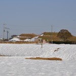 さきたま古墳公園　DSC_0044