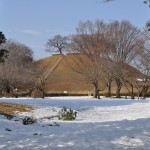 さきたま古墳公園　丸墓山古墳 石田堤 DSC_0052