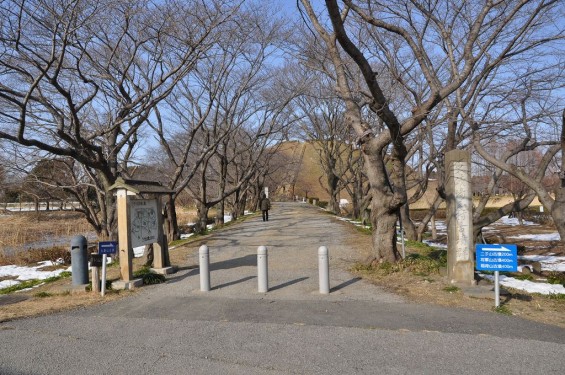 さきたま古墳公園　丸墓山古墳 石田堤 DSC_0054