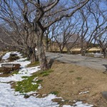 さきたま古墳公園　丸墓山古墳 石田堤 DSC_0055