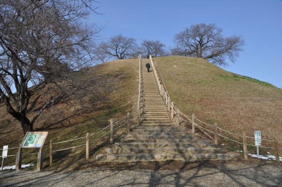 さきたま古墳公園　丸墓山古墳 石田堤 DSC_0062