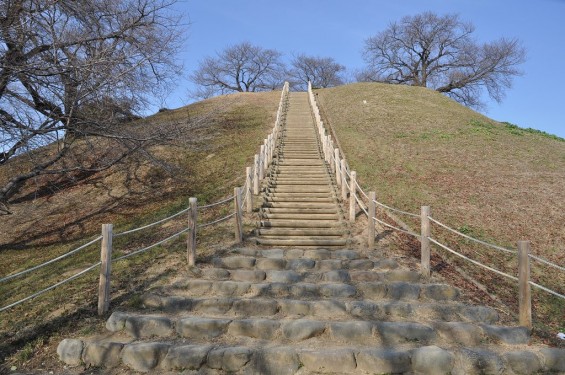 さきたま古墳公園　丸墓山古墳 石田堤 DSC_0071