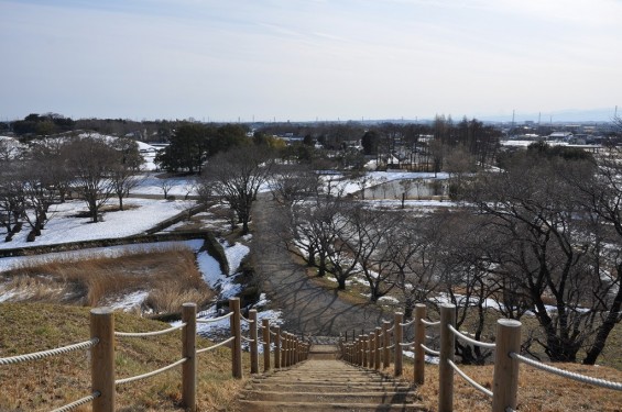 さきたま古墳公園　丸墓山古墳 石田堤 DSC_0073