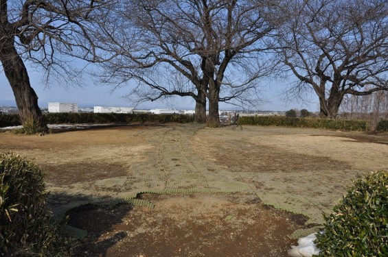 さきたま古墳公園　丸墓山古墳 石田堤 DSC_0074