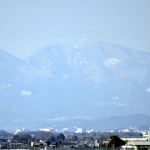 さきたま古墳公園　丸墓山古墳 石田堤 DSC_0083-