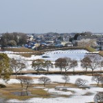 さきたま古墳公園　丸墓山古墳 石田堤 DSC_0091