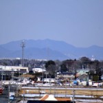 さきたま古墳公園　丸墓山古墳 石田堤 DSC_0094